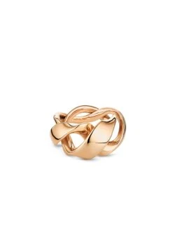 Sensual Golden Bridge RING