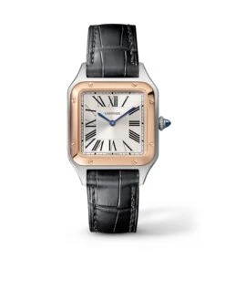 Cartier Santos Dumont - Small Model
